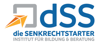 Logo von DSS Academy